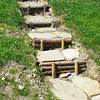 Sklípky